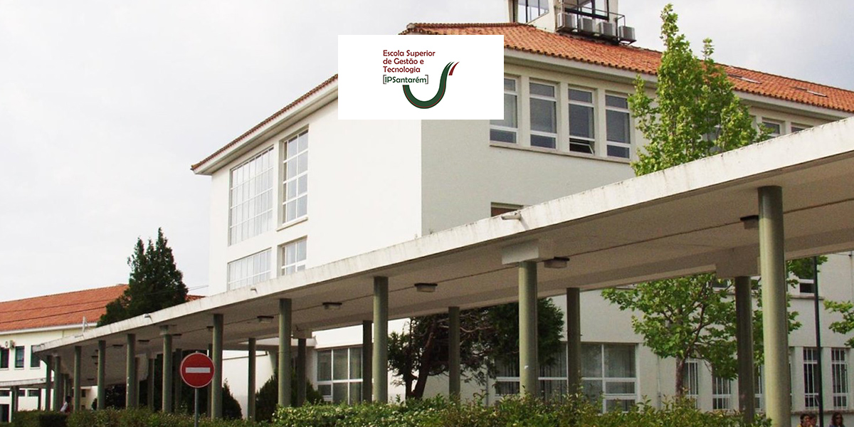 IV workshop grudis - ESGT-IP Santarém