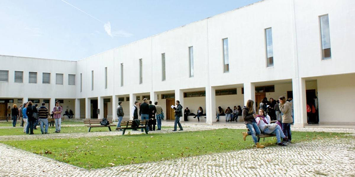 VII workshop grudis - ESG Tomar, 23 Novembro, Tema: ‘Practice-based research’: um balanço