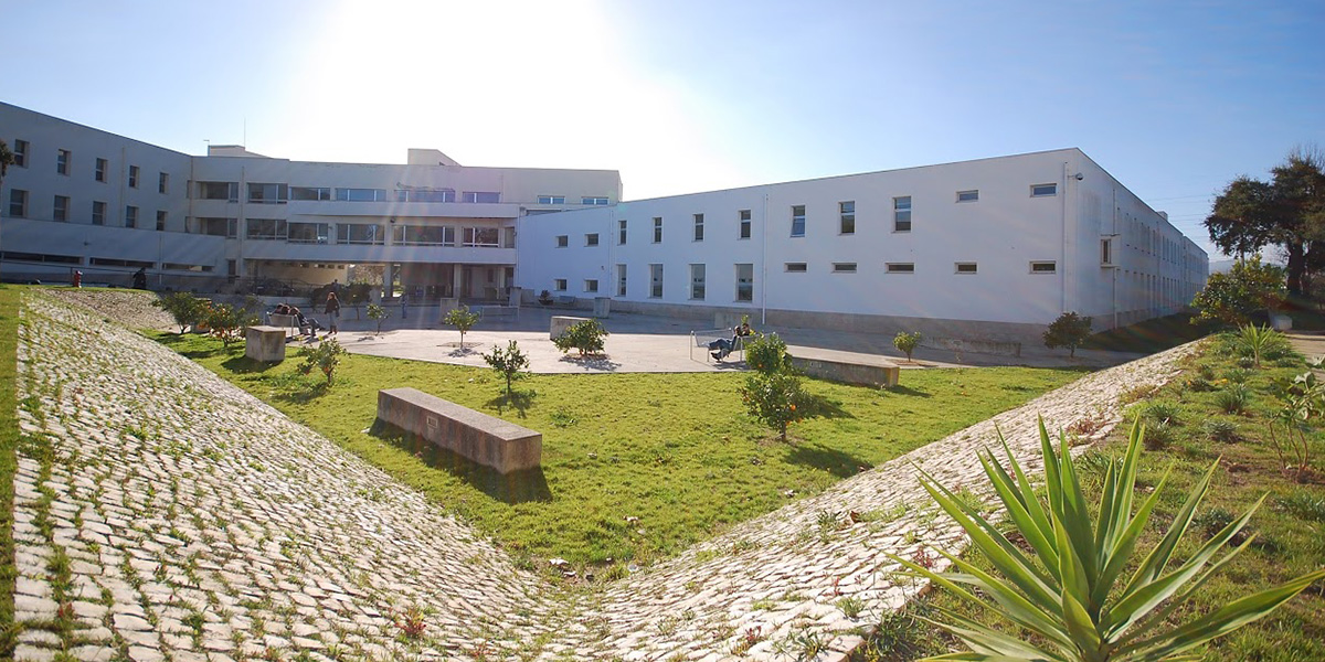 XI Workshop Grudis - A utilização de questionários na investigação em contabilidade - ESCE IP Setúbal, 5 Julho, 14:00